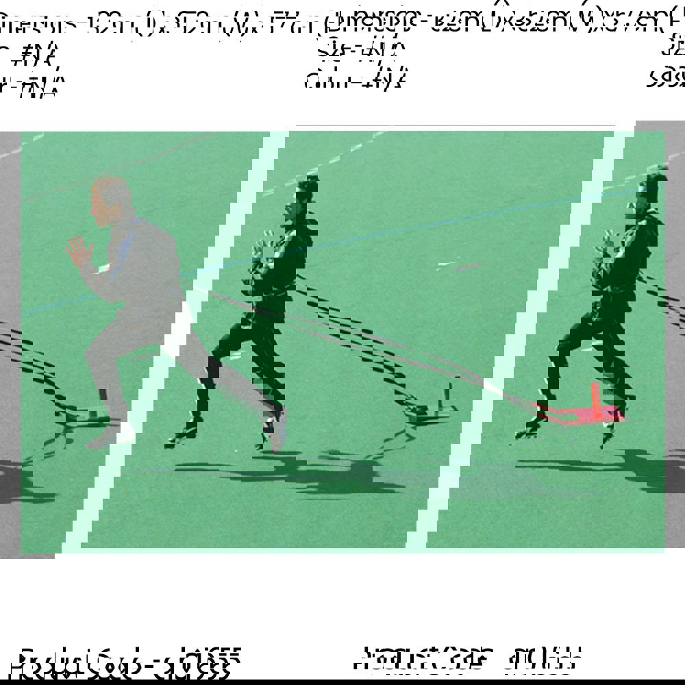 Football & Athletics Speed Sled Running Harness Weighted Pull Training 70KG Max