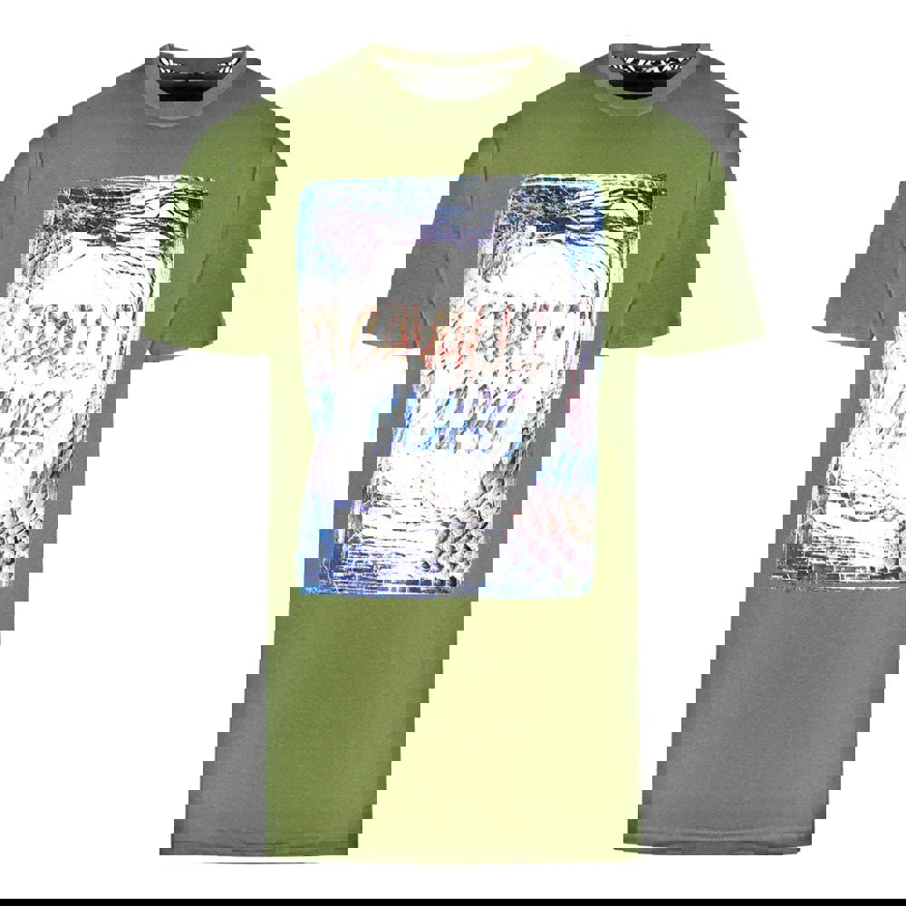 Cavalli Class Box Logo T-Shirt - Green