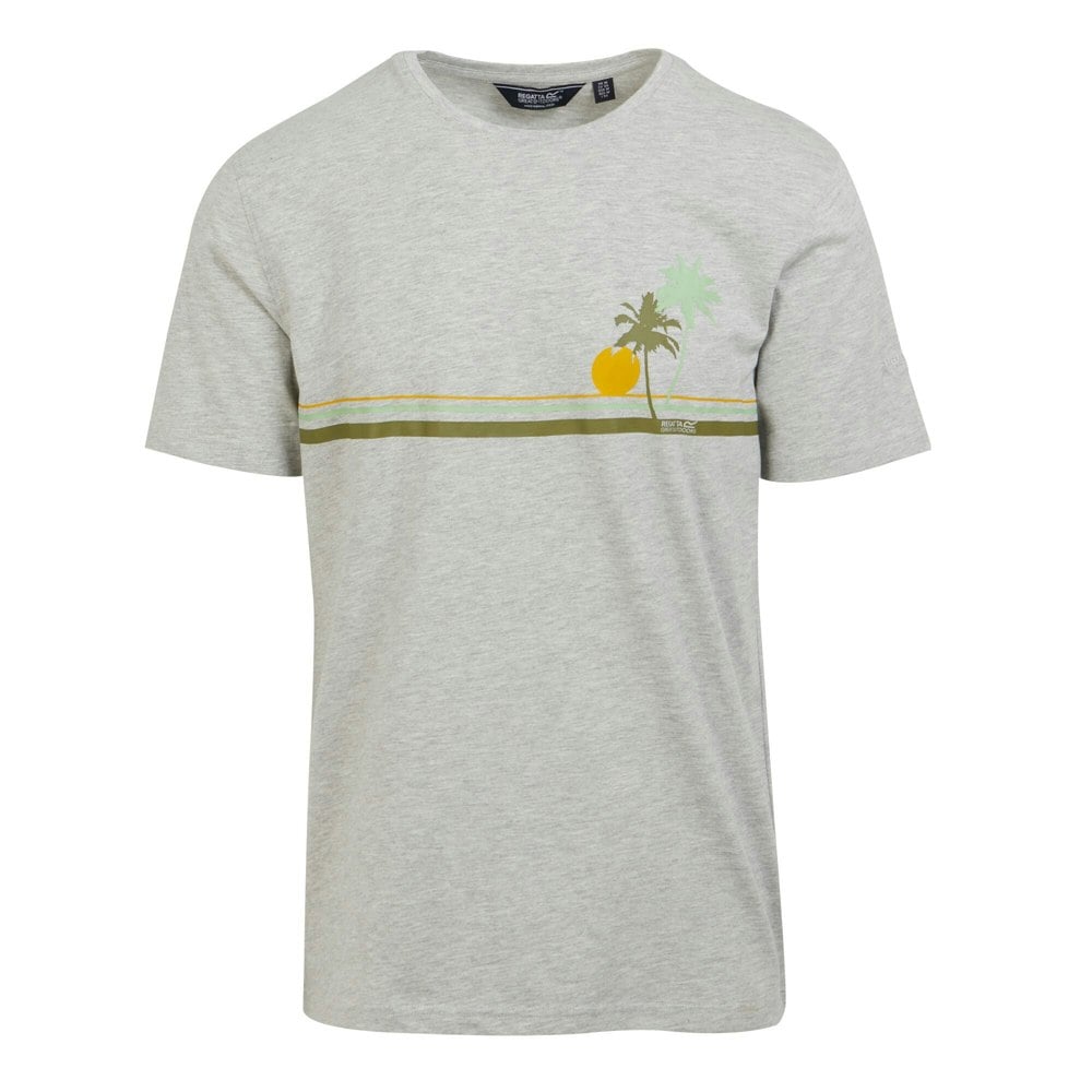 Regatta Mens Cline VIII Sunset Marl T-Shirt - Silver Grey