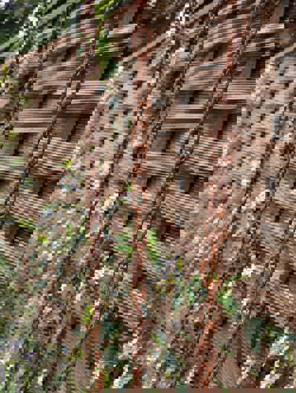 rain chain