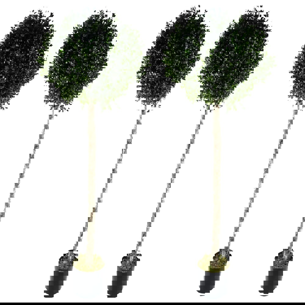 Leaf 140cm Pair of Buxus Ball Artificial Tree UV Resistant Outdoor Topiary