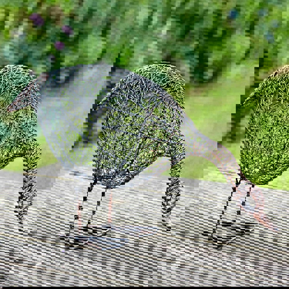 Paper High Anka the Drinking Duck Wire Garden Ornament