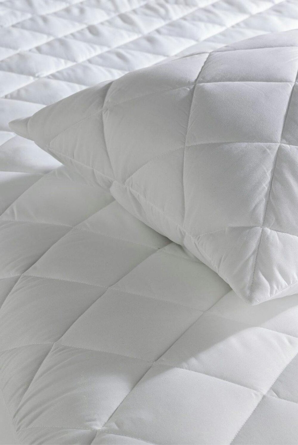 Ezysleep Quilted Protector with Pillow Protector Cases Set