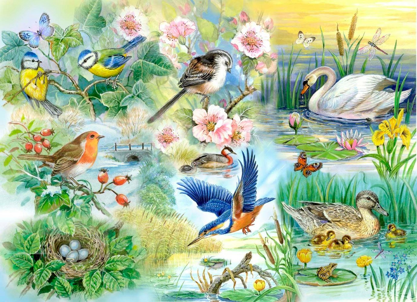 The House of Puzzles Feathered Friends - BIG 250 Piece Jigsaw Puzzle