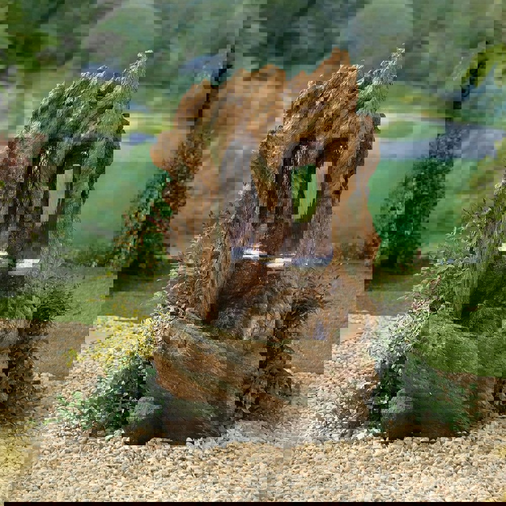 Tranquillity Water Features Colorado Falls with Lights Wood Effect Water Feature