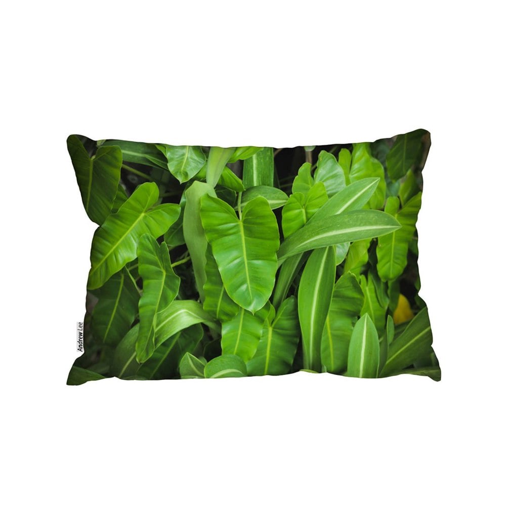 Benjamin Tate Design Abstract Background Of Dark Green Leaves (Outdoor Cushion)