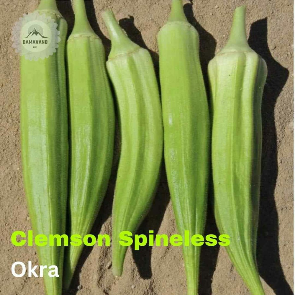 Okra Clemson Spineless Seeds