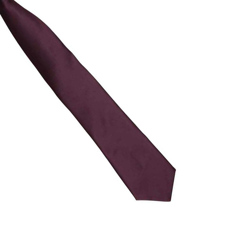 Premier Unisex Adult Satin Tie - Aubergine