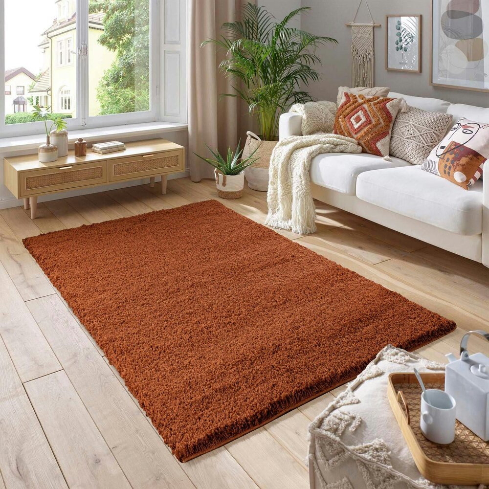 Smartie Rug Smart Living Shaggy Rug - Terracotta | Rackhams