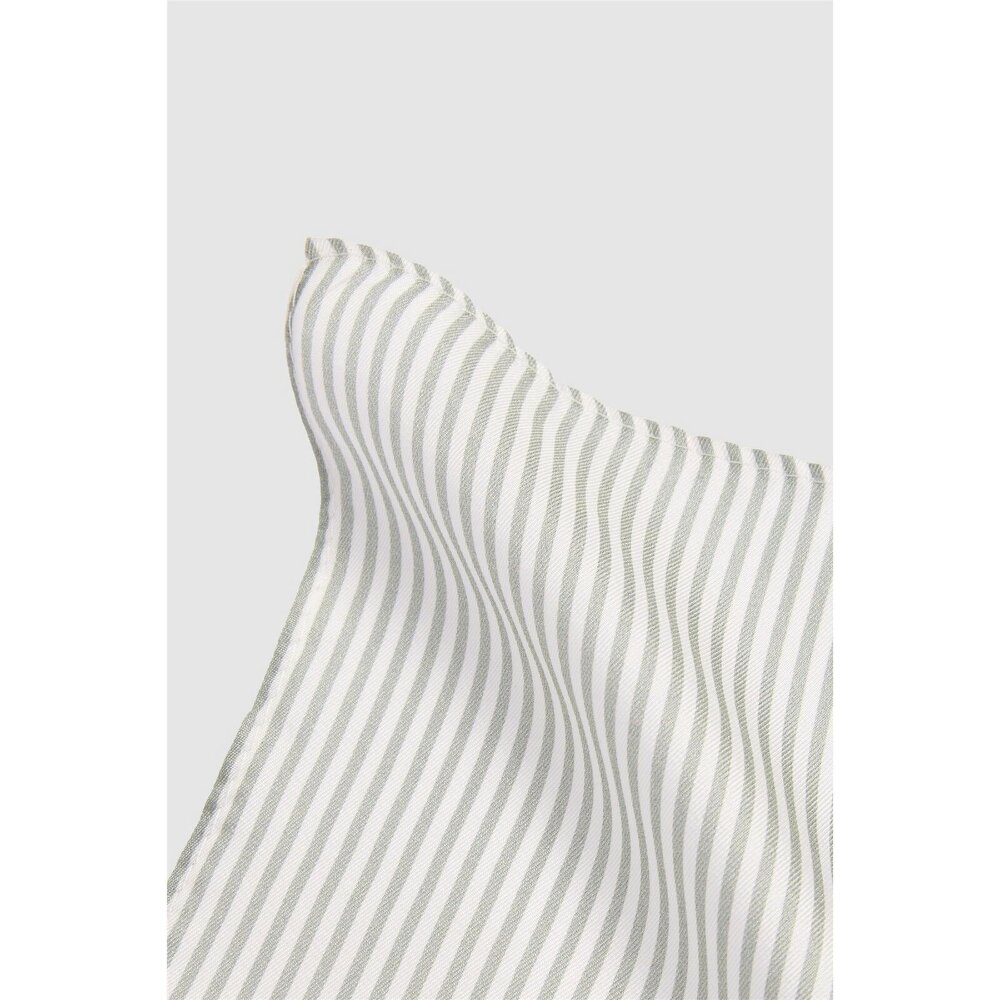 Alexandre Silver Alexandre Sage Stripe Pocket Square