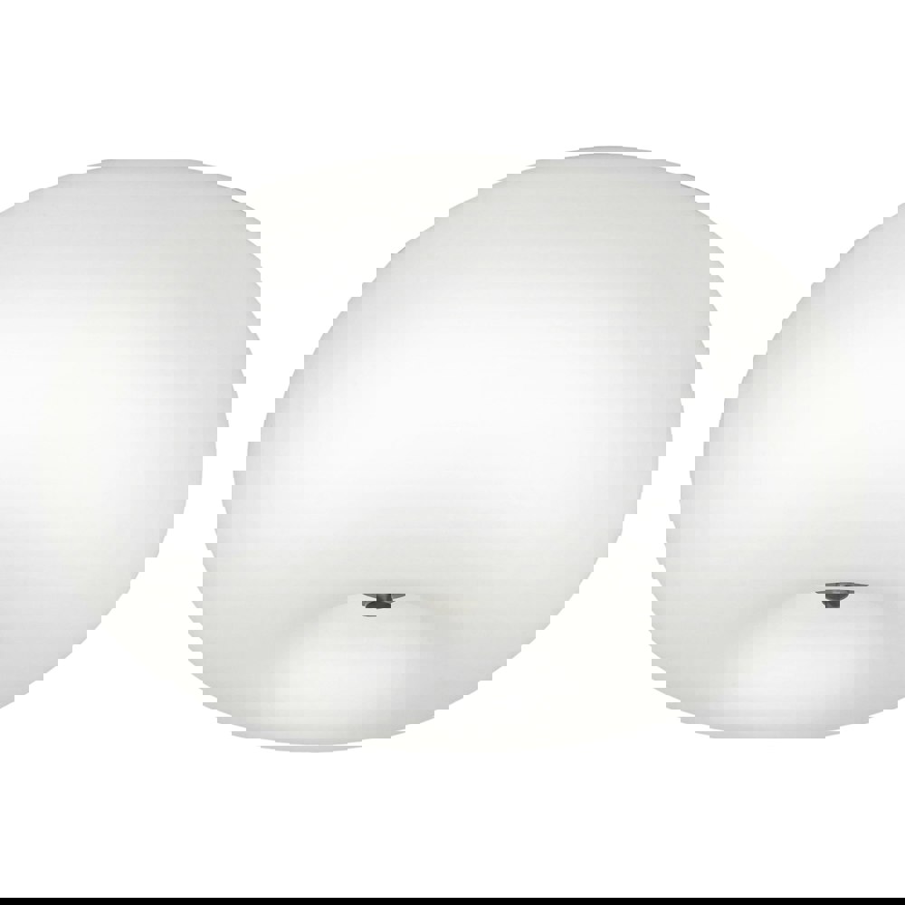 Wall Flush Ceiling Light Satin Nickel Shade White Glass Opal Matt Bulb E27 2x60W Loops