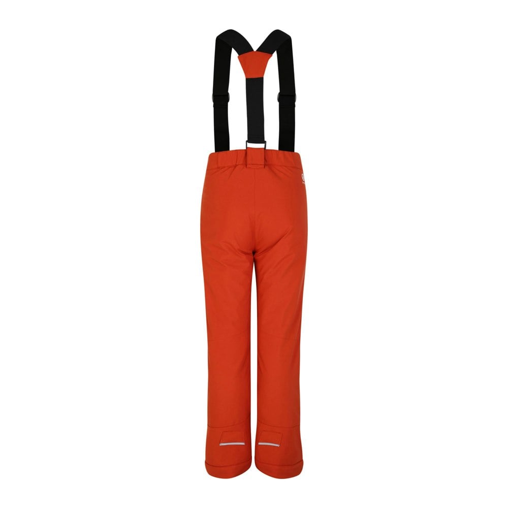 Dare 2B Mens Achieve II Ski Trousers - Rooibos Tea
