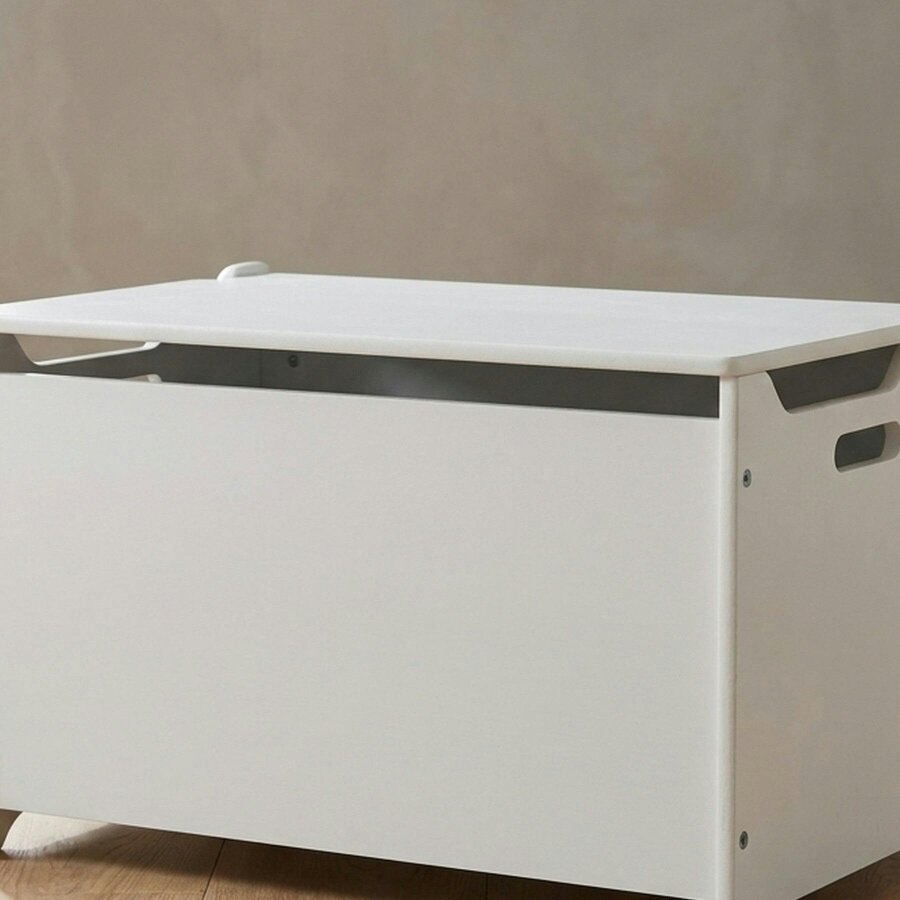 Garden Greatness Modern Children's Storage Toy Box