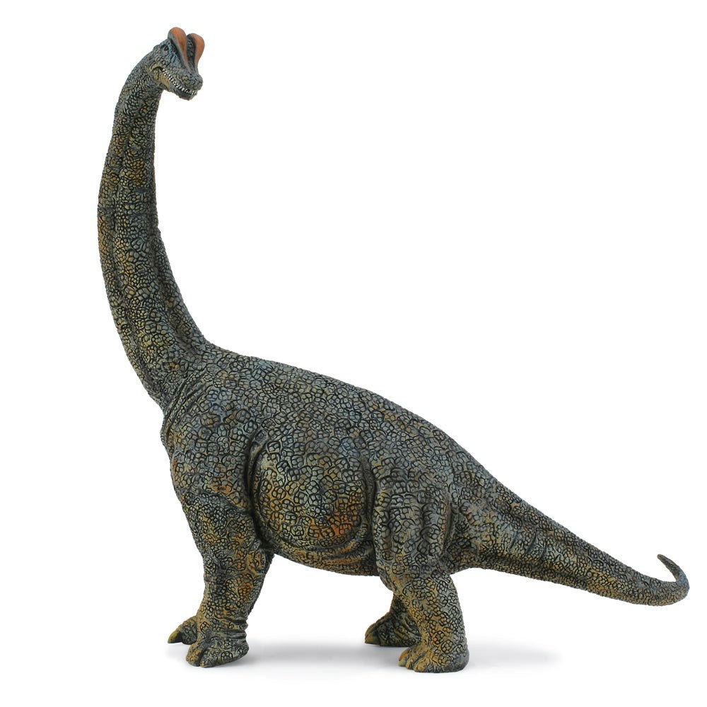 CollectA Brachiosaurus Dinosaur Toy - Hand-Painted And Designed By Experts