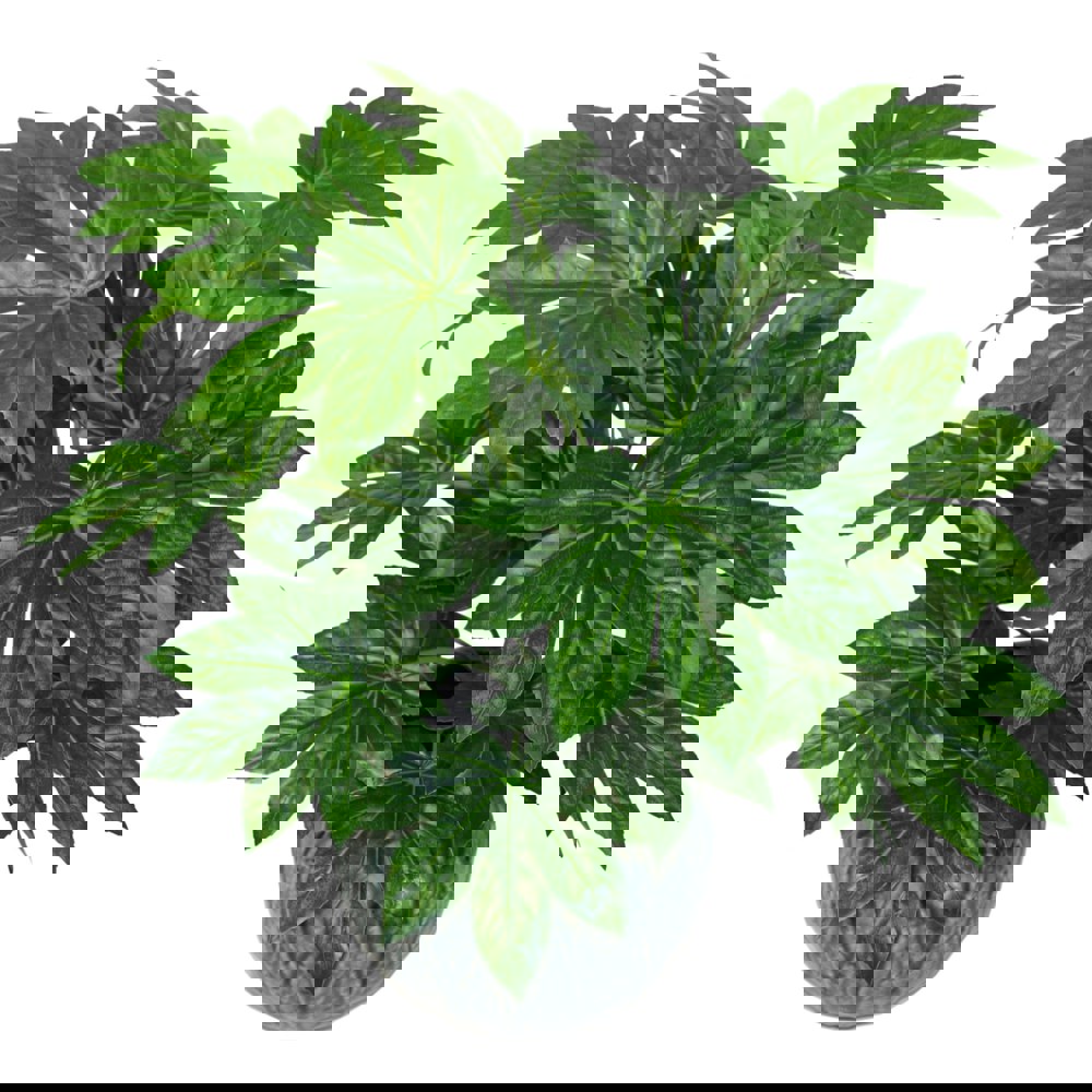 Leaf 60cm Artificial Japanese Aralia Plant Evergreen