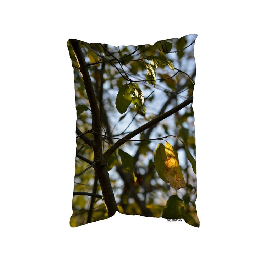 Benjamin Tate Design Tree Leaves In The Sunshine Nature Photography, Leaves And Branches (Outdoor Cushion)