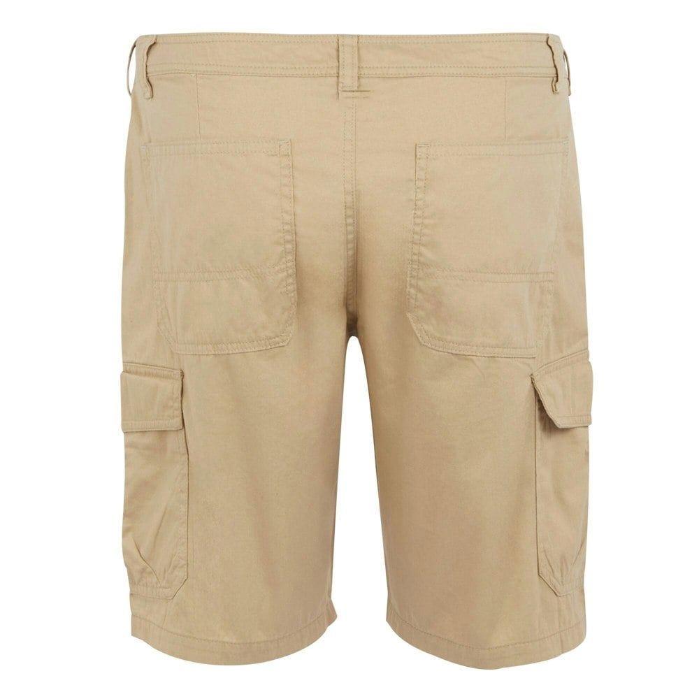 Regatta Mens Ruwan Casual Shorts - Oat