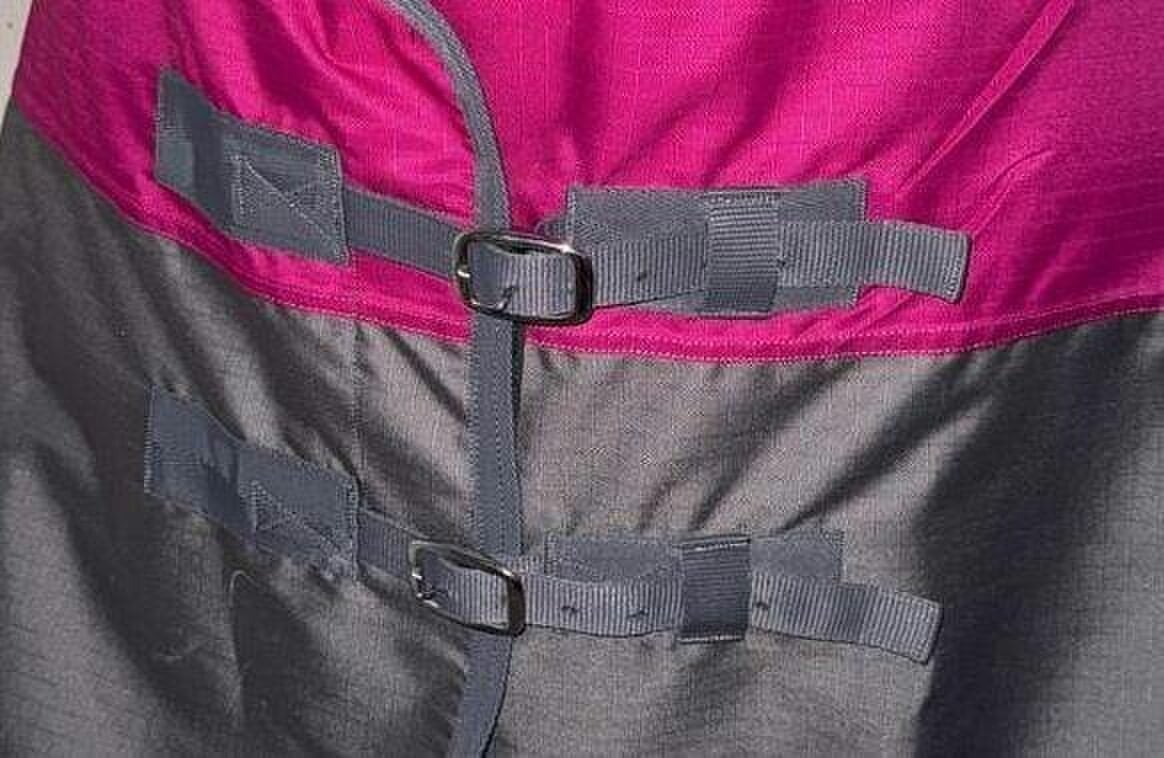 eQuitack 600D Outdoor Winter Mediumweight Waterproof Horse Turnout Rug 100g Fill Standard Neck Nylon Lined Double Buckle Raspberry/Grey