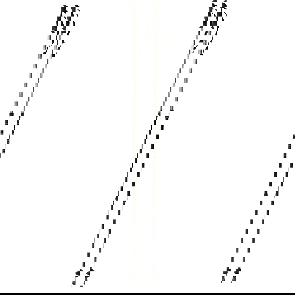 Trespass Transduo 2 Piece Walking Pole Set - Graphite