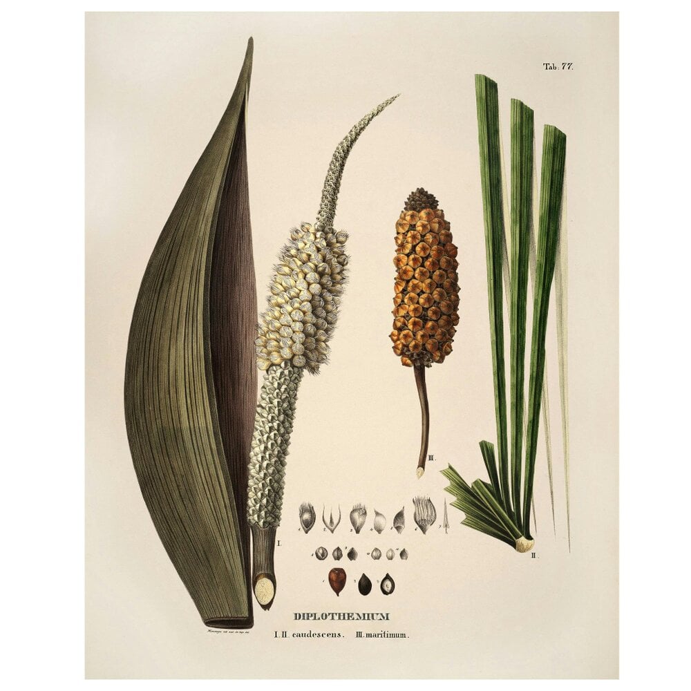 Love Frankie Botanical Wall Hanging