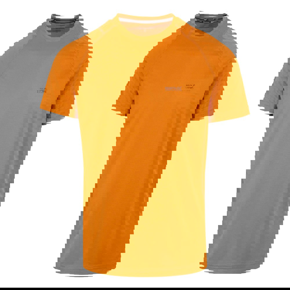 Regatta Mens Virda IV T-Shirt - Fox
