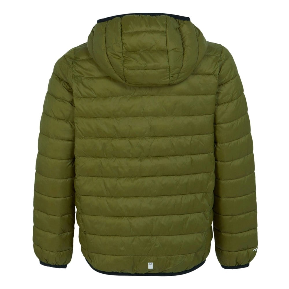 Regatta Childrens/Kids Marizion Hooded Padded Jacket - Nephrite Green/Abbeystone