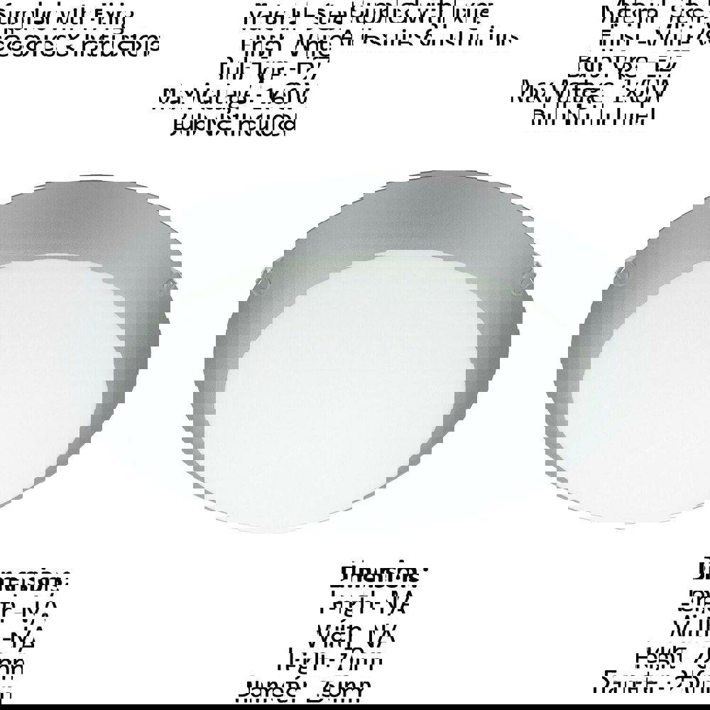 Wall Flush Ceiling Light White Steel White Silver Satin Glass Bulb E27 1x60W Loops