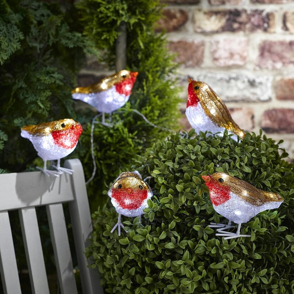 Scotts of Stow Indoor Outdoor Robin String Lights