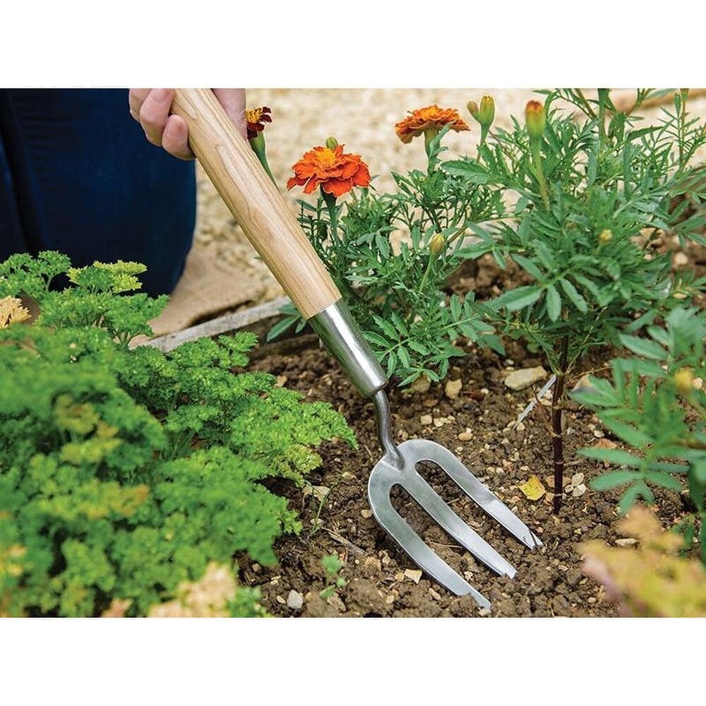 Kent & Stowe Hand Border Fork, Fsc - Multi Colour