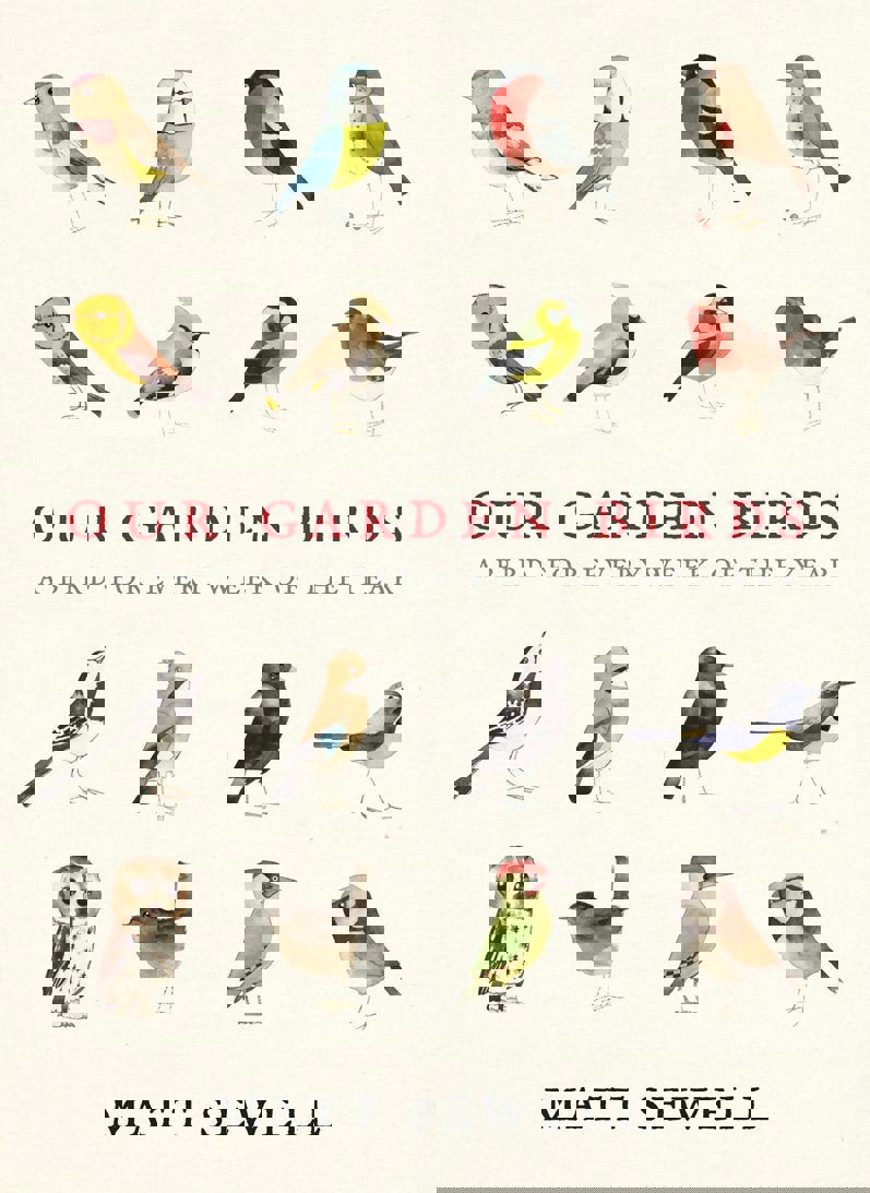 Our Garden Birds: a stunning illustrated guide to the birdlife of the British Isles by Matt Sewell