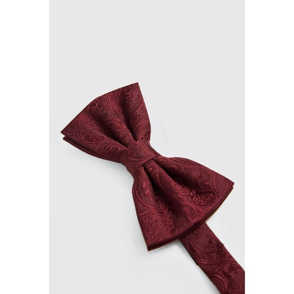 Antique Rogue Burgundy Paisley Bow Tie