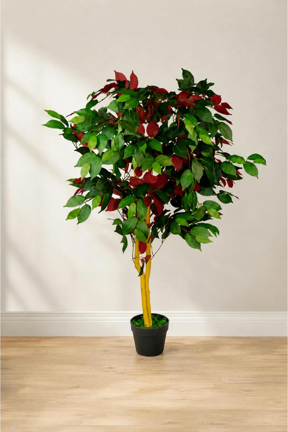 Dyzi 120cm Artificial Capensia Tree with Real Wood Trunk