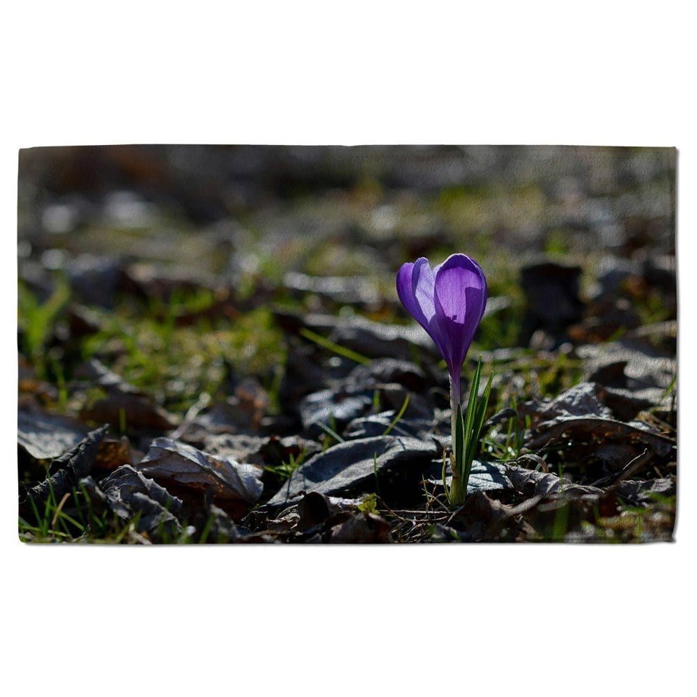 Benjamin Tate Design Purple crocus flowers, Colchicum, in a green grass meadow. Close up spring or autumn flower bloom in nature (Bath Towel)