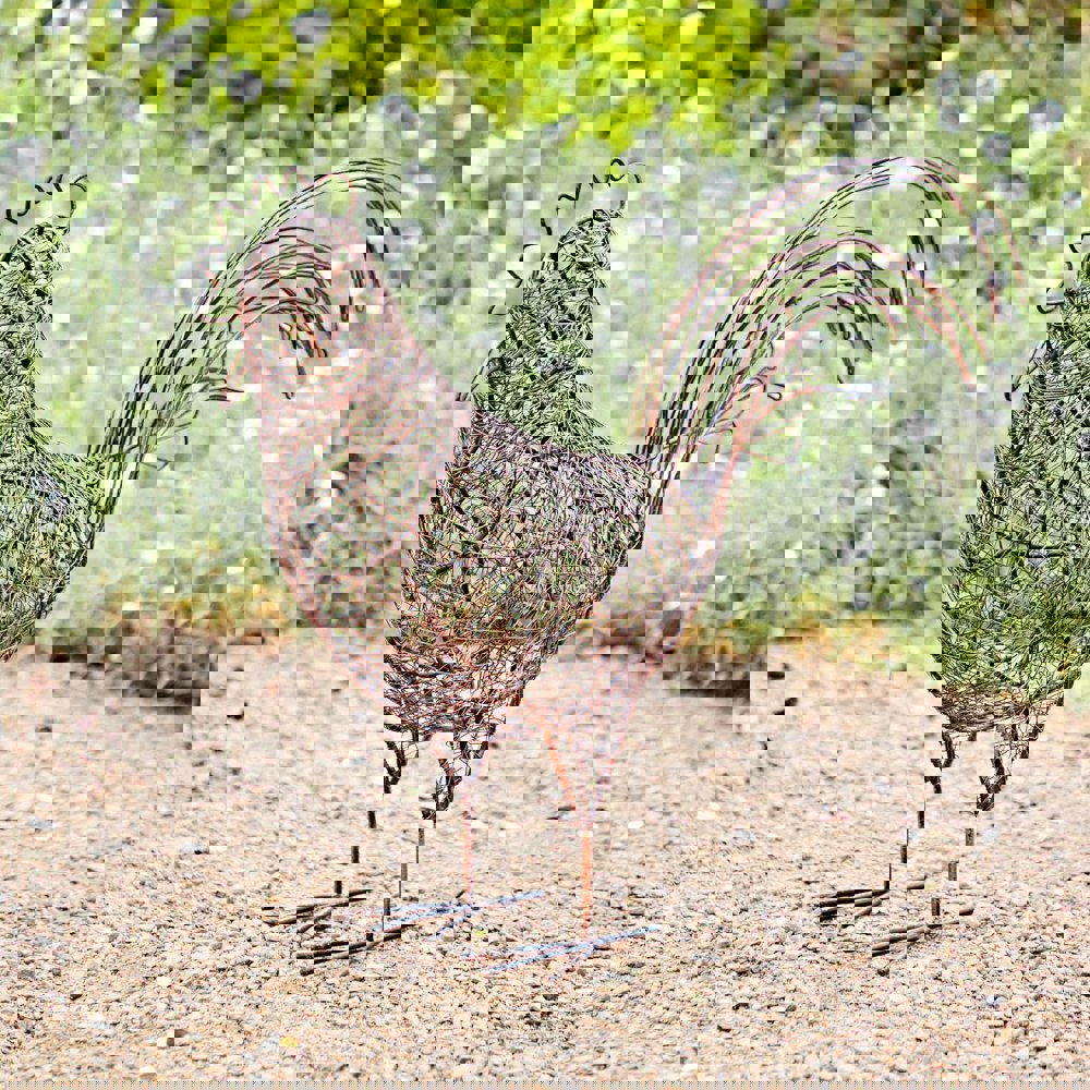 a Metal Hen Garden Decoration standing on a gravel path.