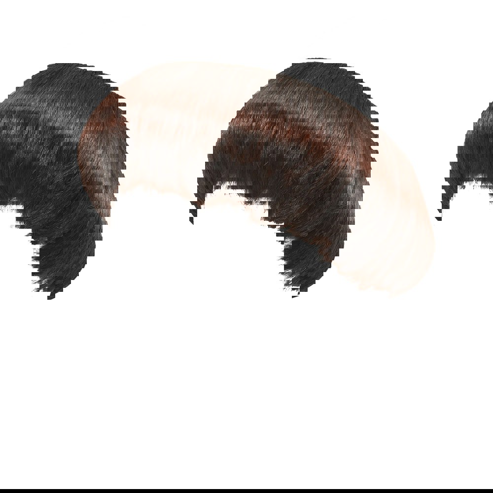 Bristol Novelty Mens Monk Wig - Brown