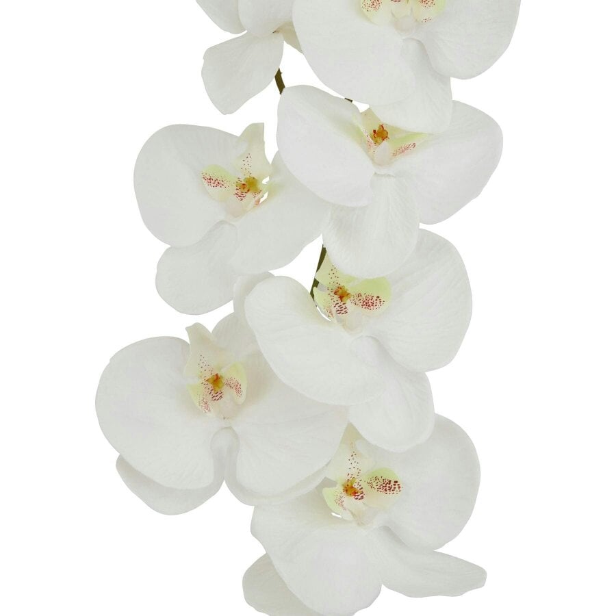Wyld Haus Set of 3 Artificial Flowers Tall White Butterfly Orchid Stem