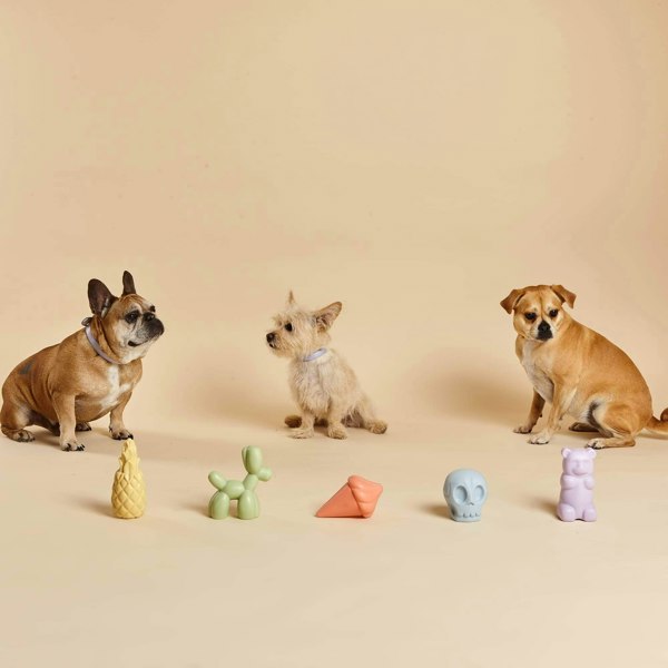 Dog Toy Box Set Displayed With Three Small Dogs