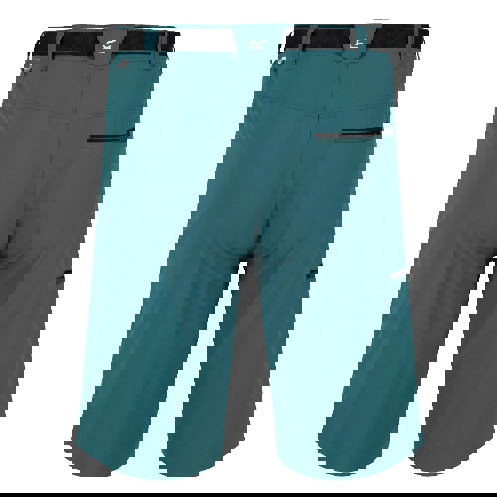 Regatta Mens Xert III Stretch Shorts - Pacific Green