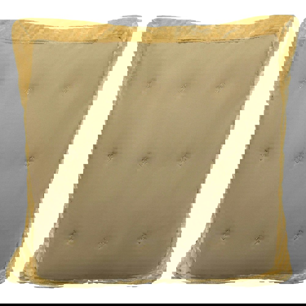 Intimates Modern Velvet Edge Cushion - 43cm x 43cm