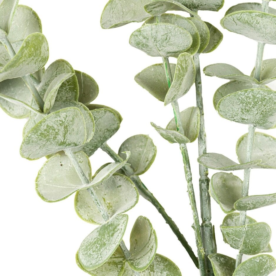 Wyld Haus Set of 3 Artificial Flowers Gunnii Eucalyptus Sprays