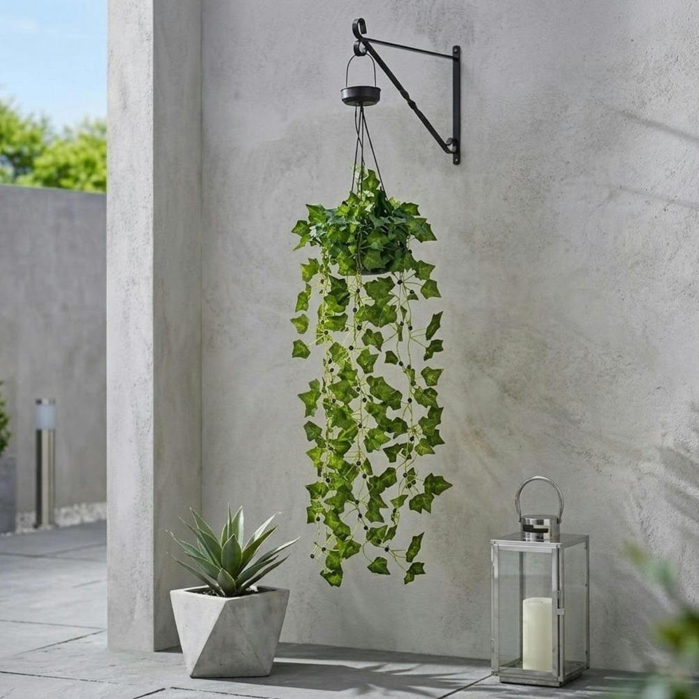 Garden Greatness Lunaria Hanging Solar Ivy Basket