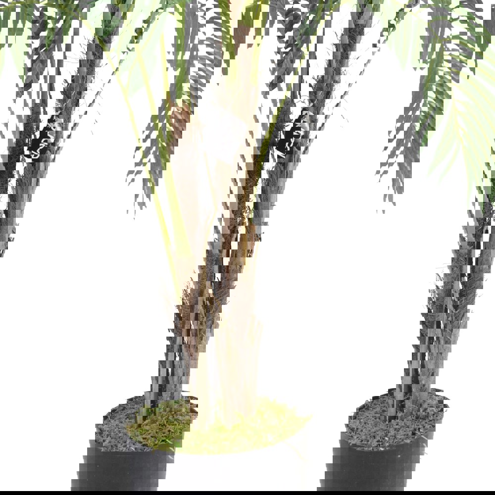 Leaf 120cm Premium Artificial palm tree with pot