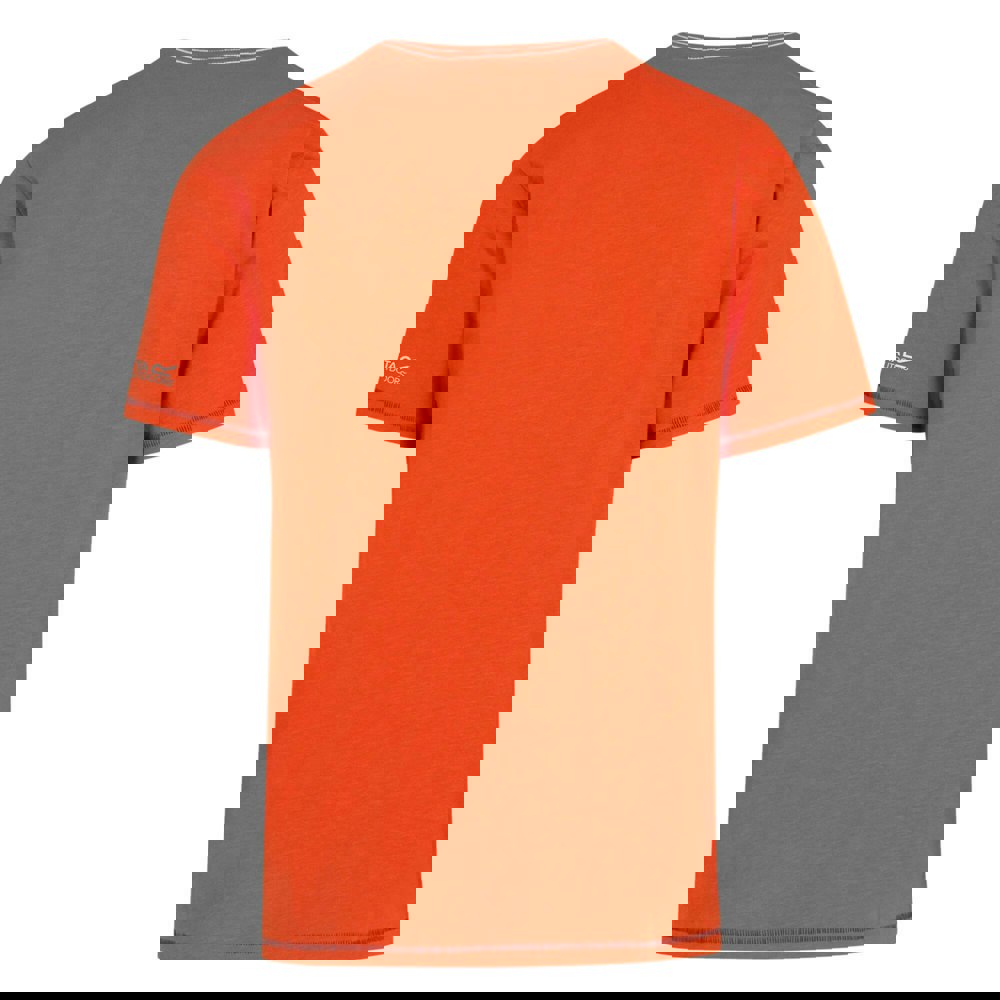 Regatta Mens Rayonner T-Shirt - Rusty Orange