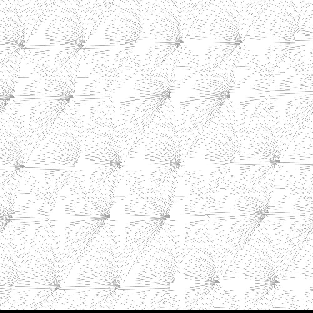Fan grey / white