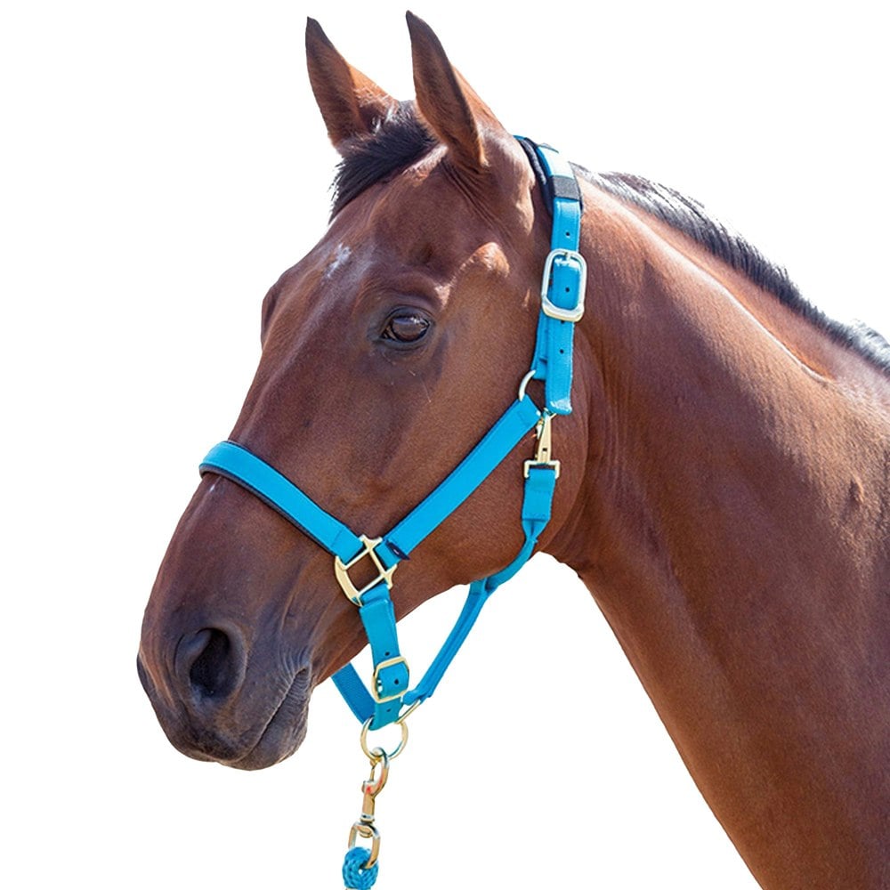 Shires Topaz Nylon Horse Headcollar - Blue