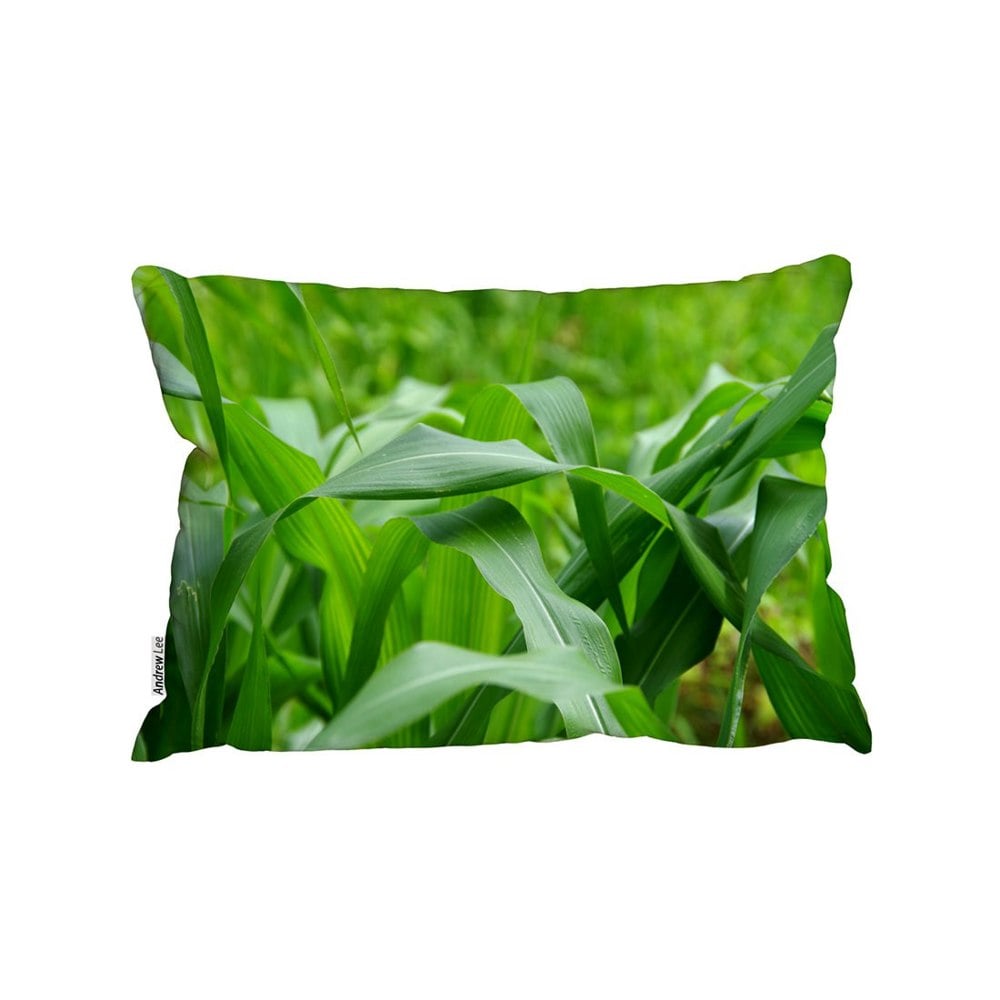 Benjamin Tate Design Green Leaves Corn Fields As Background (Outdoor Cushion)