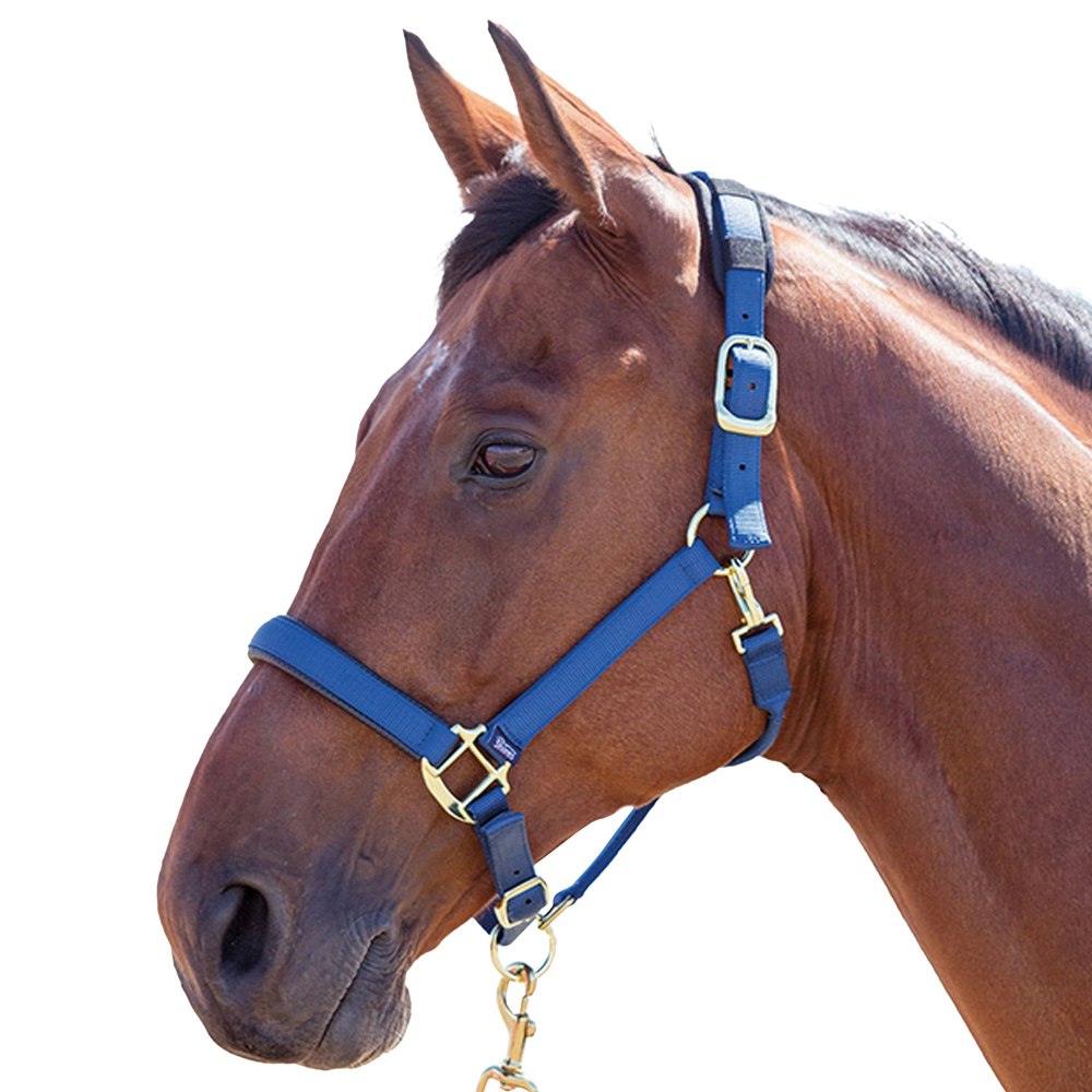 Shires Topaz Nylon Horse Headcollar - Navy