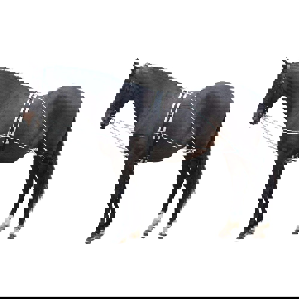 Shires Horse Lunging Aid - Black