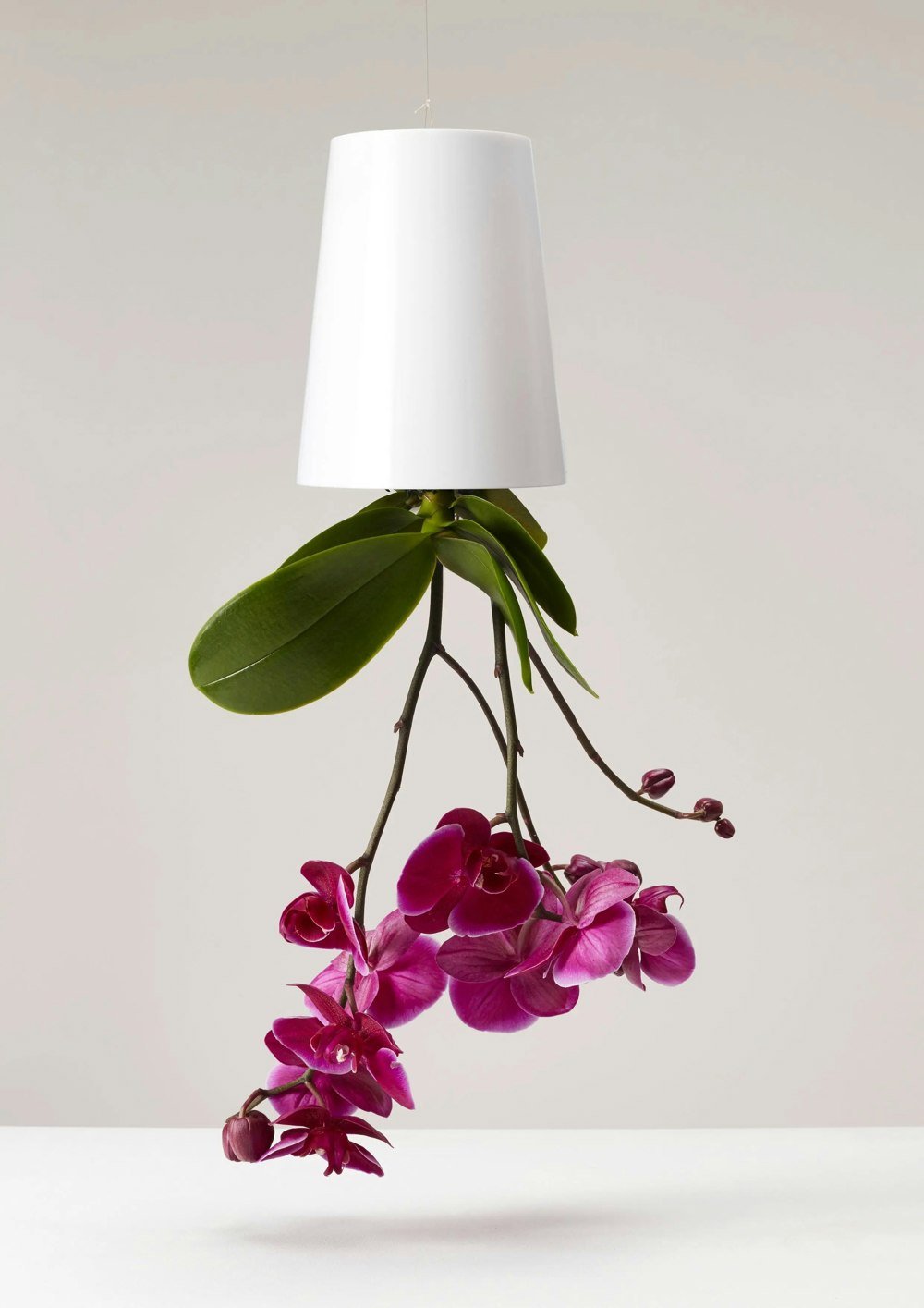 Boskke Sky Planter Recycled Hanging Planter (3 Sizes)