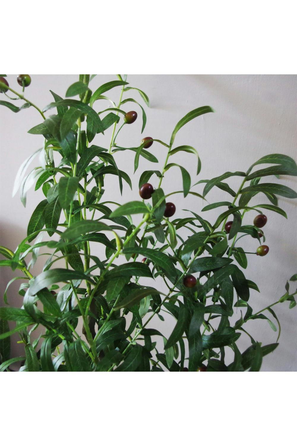 Dyzi 120cm Artificial Olive Tree with Realistic Olives